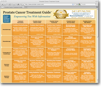 Website Design and Development for Prostate Cancer Treatment Guide