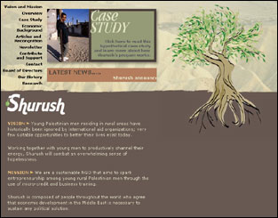 website design for Shurush