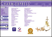 Website Design for Charm-Expres