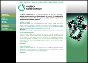 Website Internet Design for Valtech Corporation